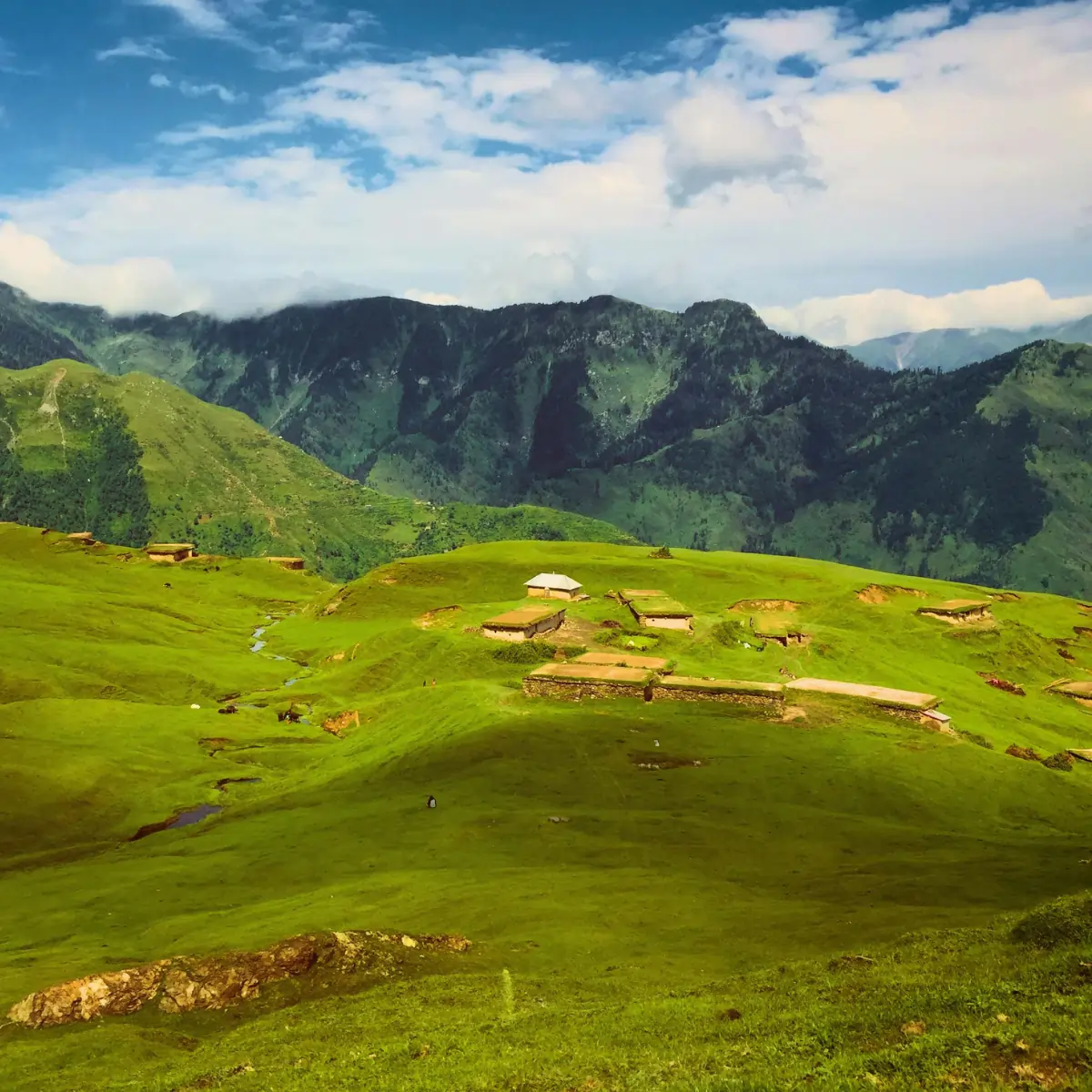 local tours - kashmir - 2