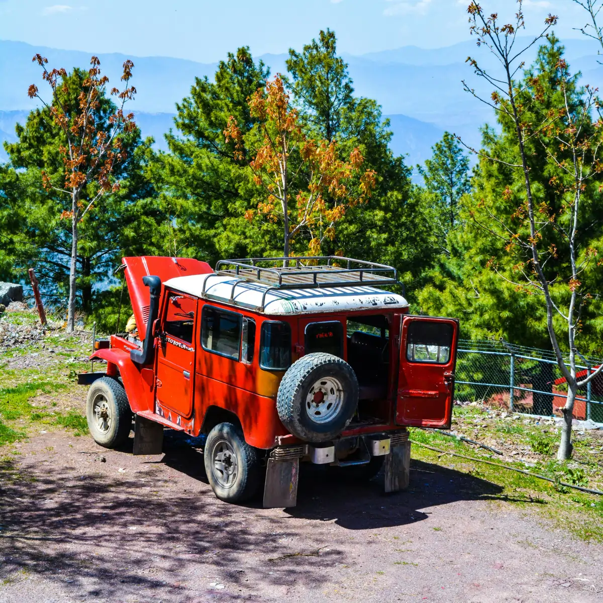 local tours - kashmir - 4