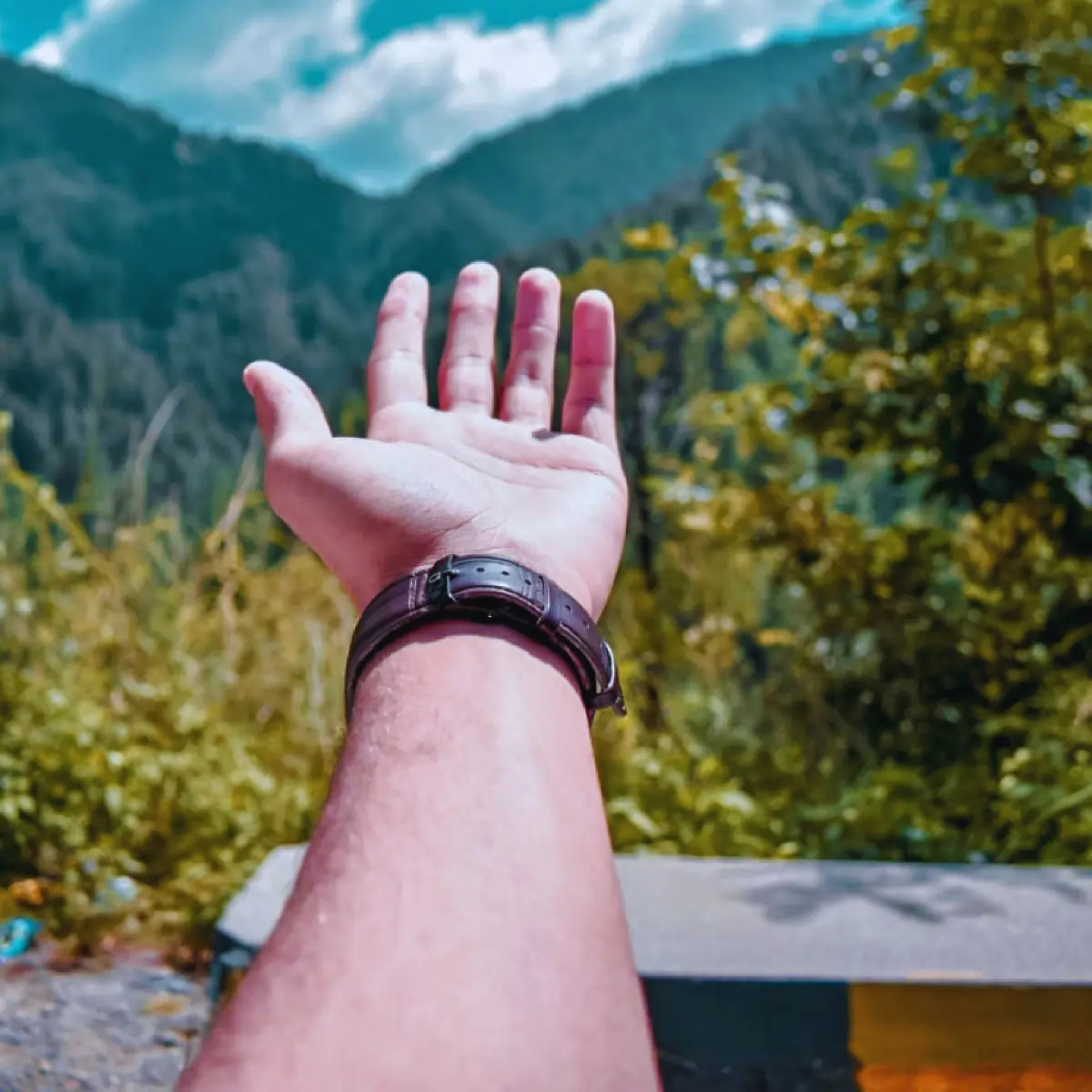 local tours - murree - 2