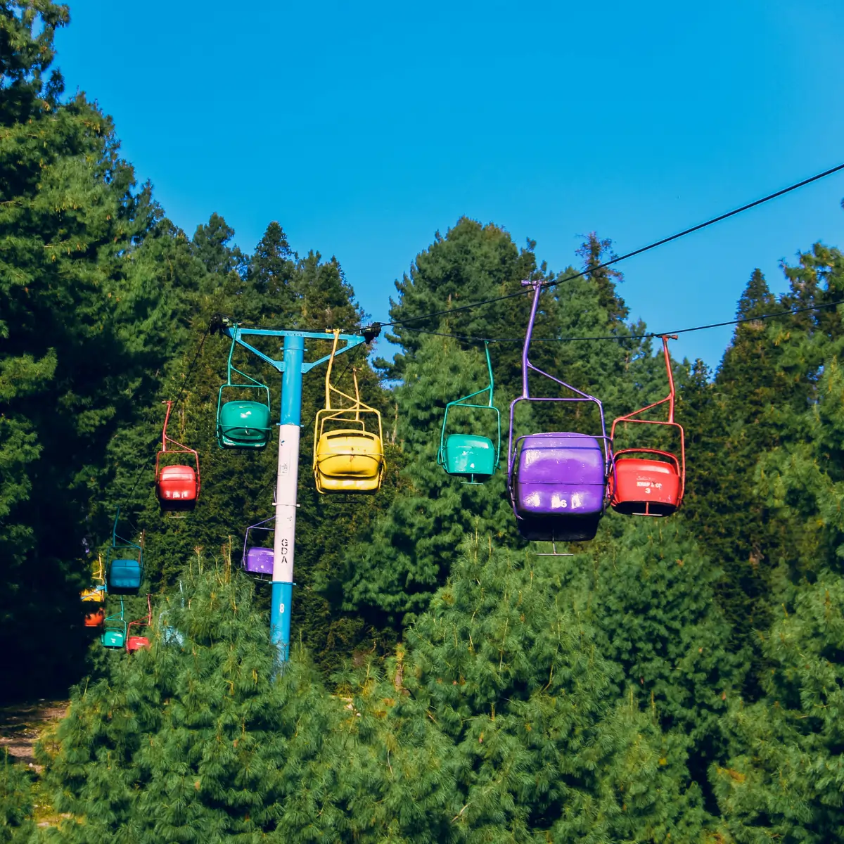 local tours - murree - 3