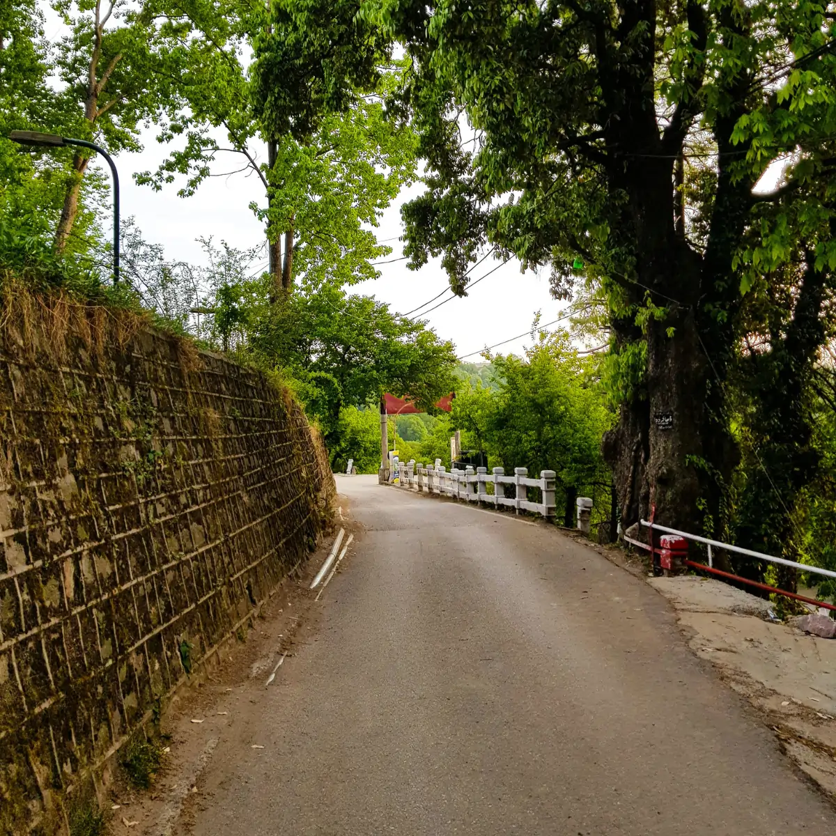 local tours - murree - 4