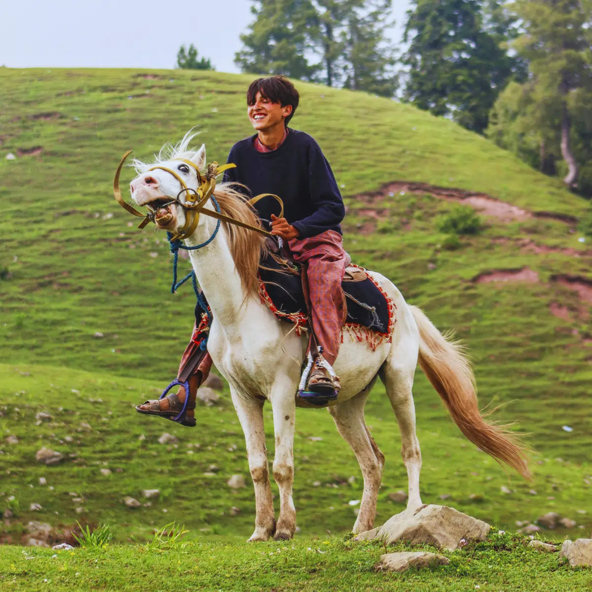 local tours - naran - 2