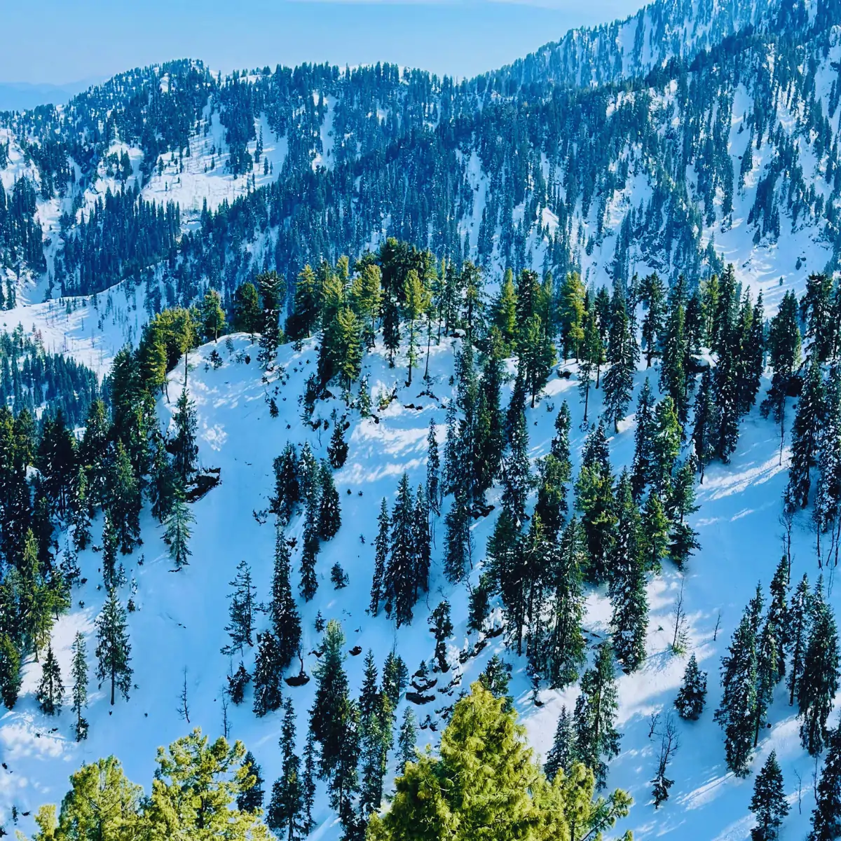 local tours - swat - 3