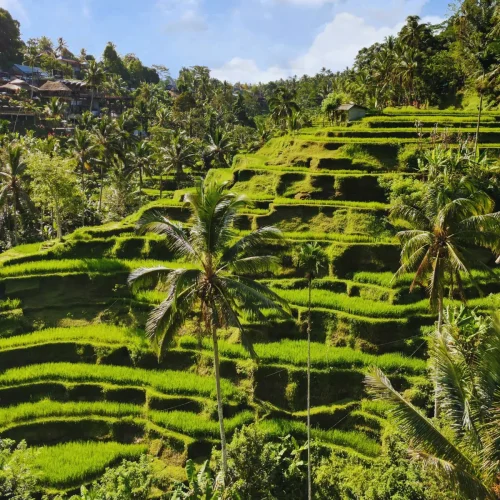 bali-image carousal-3
